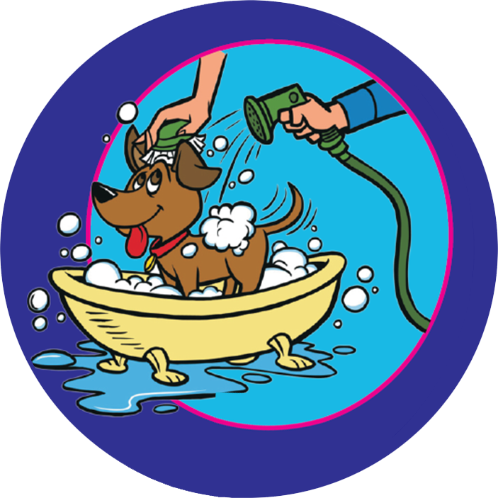 Zoom Groom Appointments